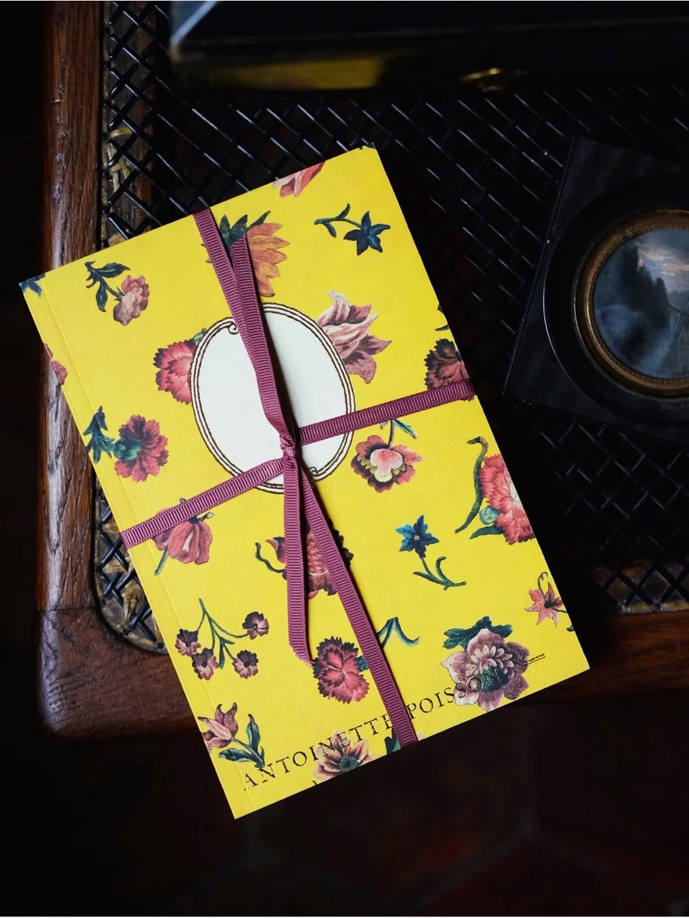 NWT Antoinette Poisson Bien Aimée No. 62 French Domino Paper Notebook Gold Edge